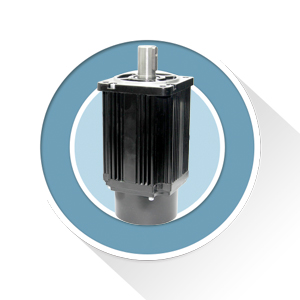 110 Series Servo Motor